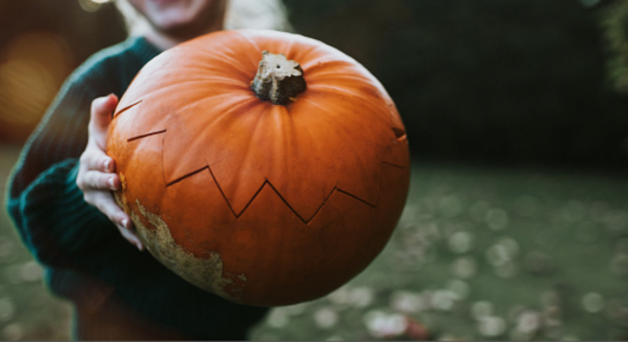 Image+of+a+pumpkin
