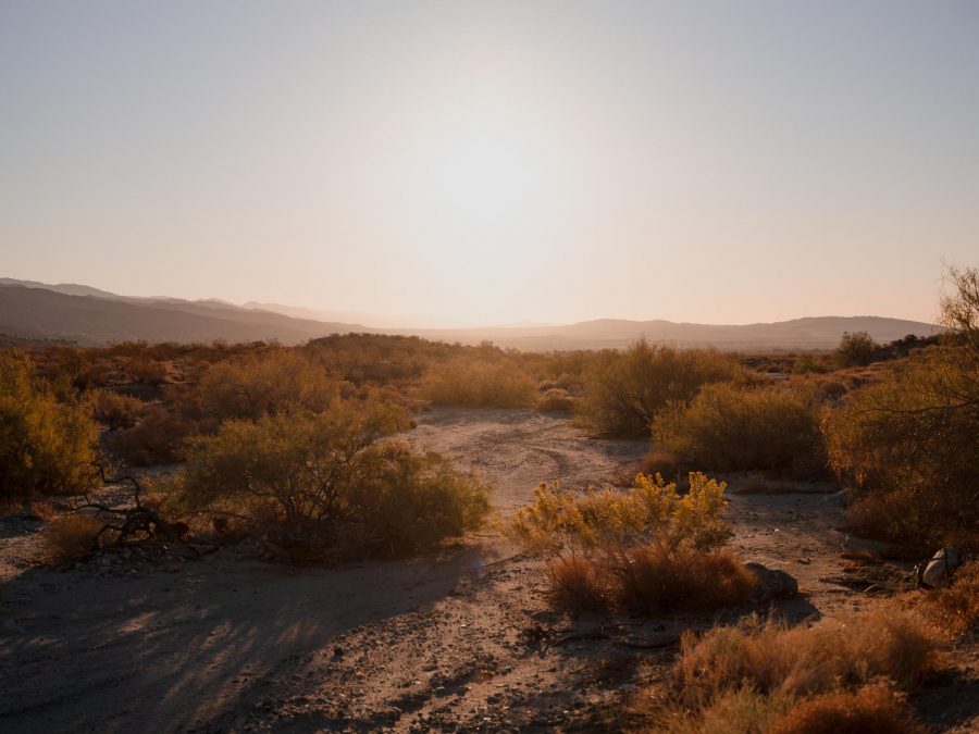 Desert X returns to the Coachella Valley March 12 2021