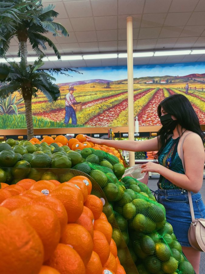 Photo Courtesy of The Chaparral/Marcela Carrillo. America Carlos reaching for oranges while grocery shopping at Cardenas. 