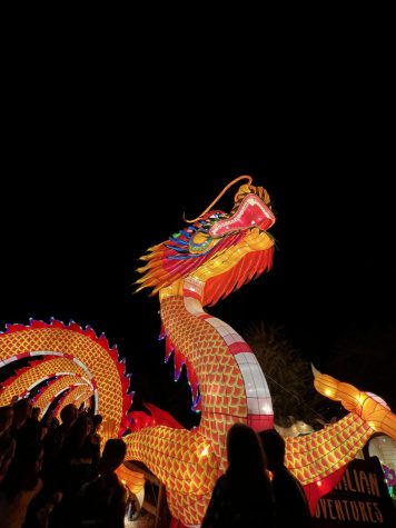 Photo courtesy of The Chaparral. A lit up dragon at The Living Desert in Palm Desert for Glow in the Park.