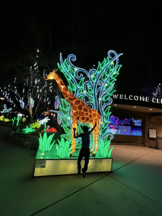 Photo courtesy of The Chaparral. File: Fifty years at the Living Desert. 2022 Wildlights.