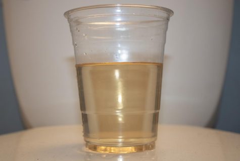 Photo Courtesy of The Chaparral. A sample of contaminated water in the Eastern Coachella Valley. 