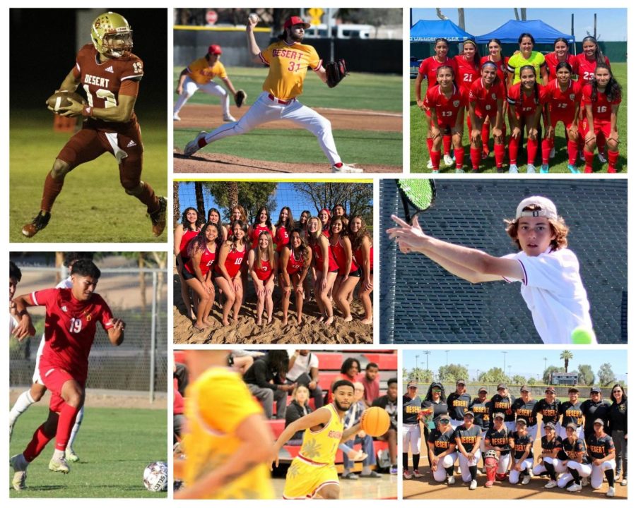 All look at some of the sport teams at College of the Desert
Photo courtesy COD Athletics 