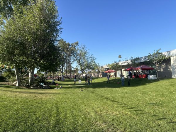 Students attend first campus music event CODchella