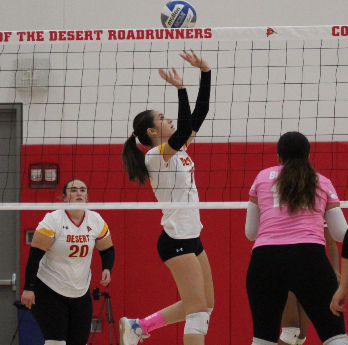 Photo Courtesy of COD athletics. Volleyball game between College of the Desert and Victor Valley.