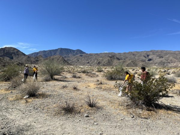 Student volunteers talk to each other and put trash into trash bags. They are surrounded by mountains and desert scenery.