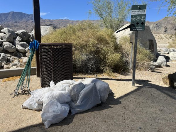 A pile of trash bags is in front of a trash can at the head of a hiking trail. Reach extenders lean across the trash can.